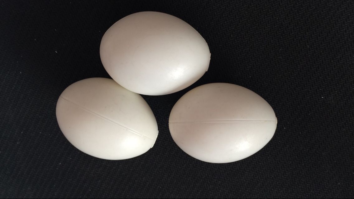 假鸽子蛋 假蛋 优质假蛋 注水假鸽子蛋