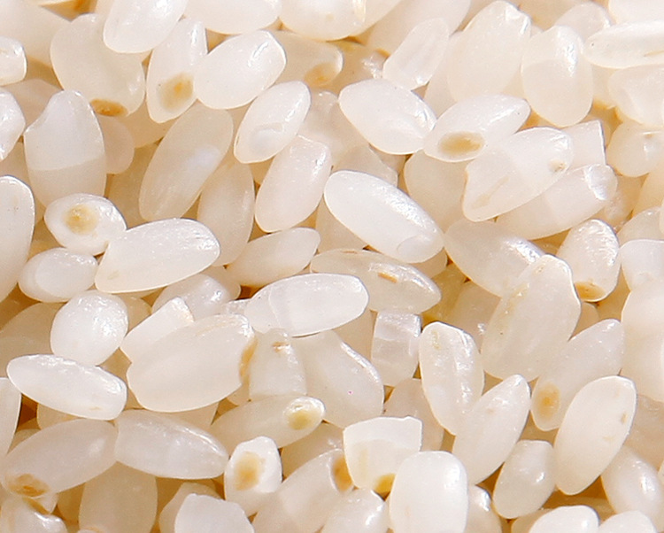 胚芽粥米500g原生态农产品营养大米胚芽米真空装粮油米面一件代发