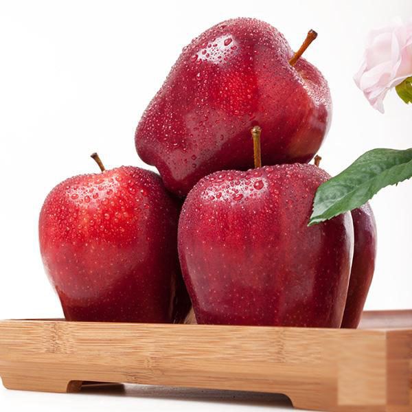 平凉市新森果蔬种植有限责任公司