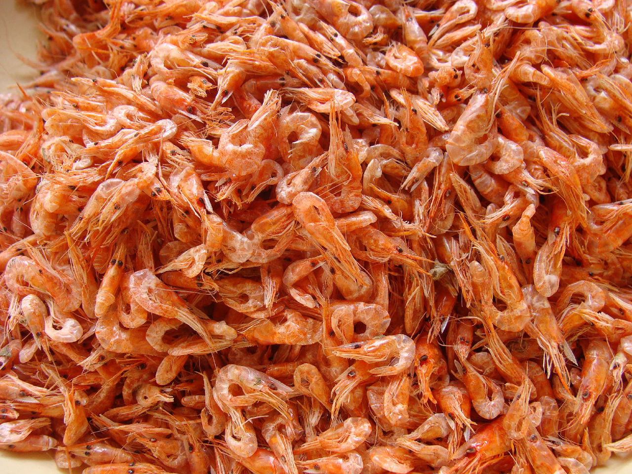 厂家直销 红虾海虾 海产 渤海湾纯野生海水红虾 肉质鲜美欢迎选购