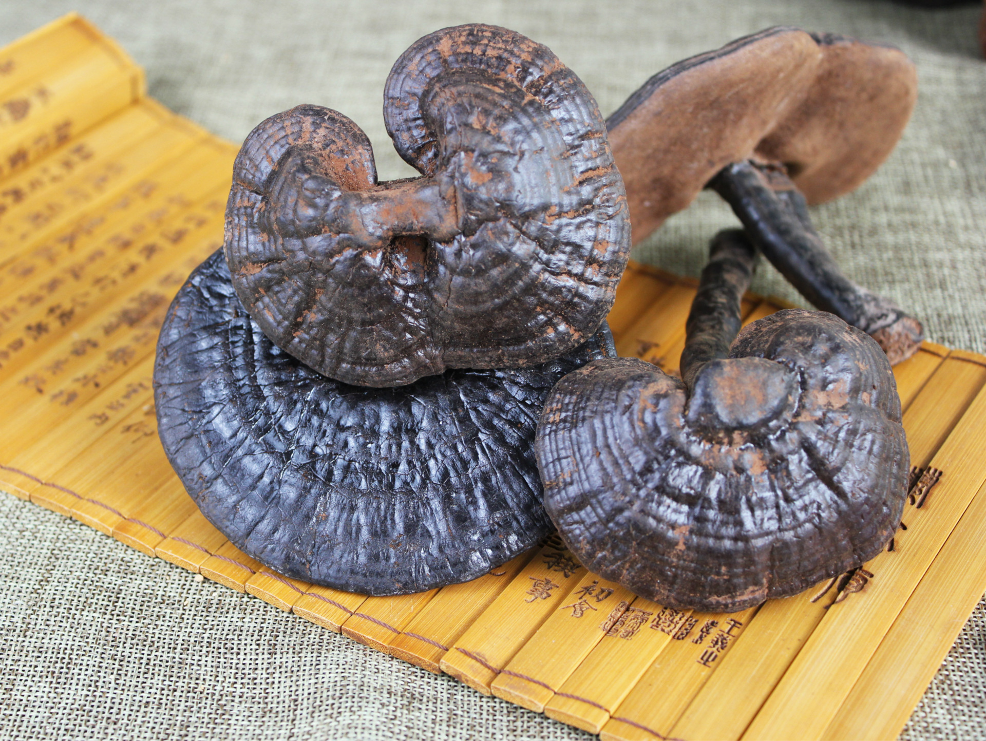 紫灵芝 黑灵芝 仿野生灵芝-人参产业网