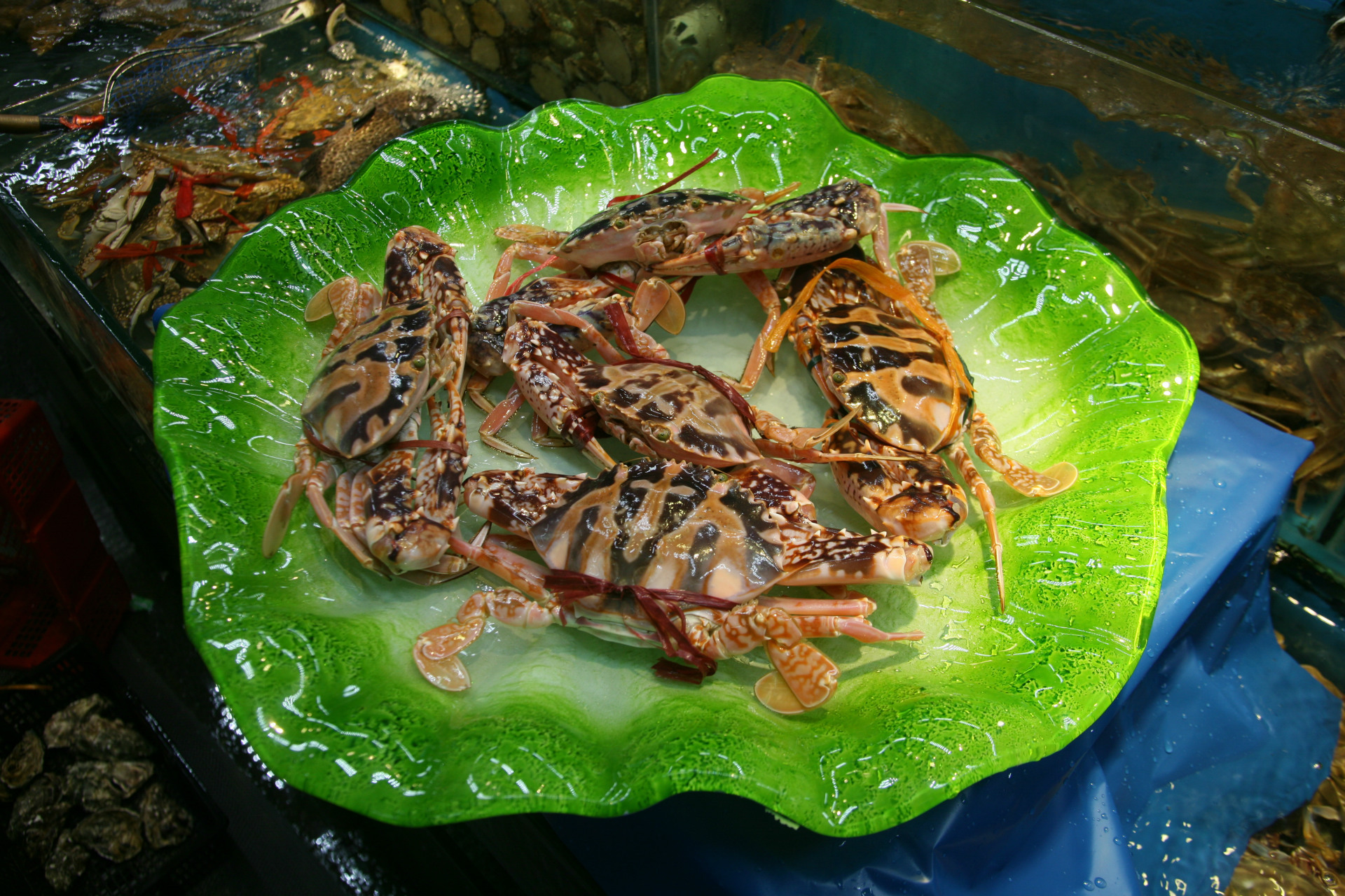 广东红花蟹批发 鲜活广东大螃蟹 海鲜水产螃蟹