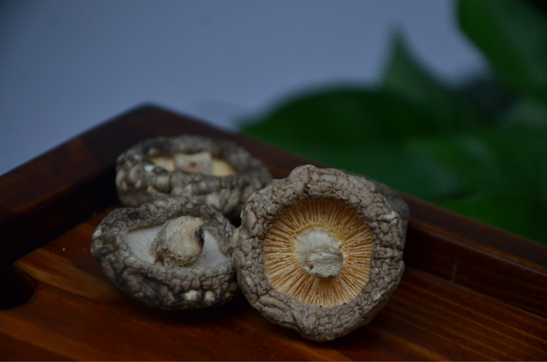 散装优质光面香菇干度好食用菌土特产干货批发产地货源供应热销