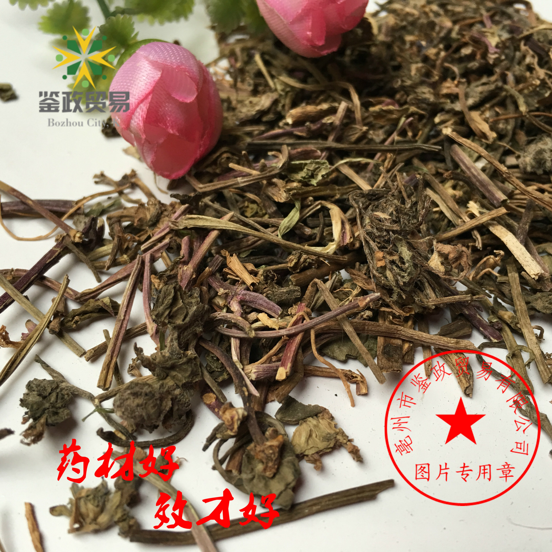 批发优质 白毛夏枯草 筋骨草 苦草 四季春草 量大从优