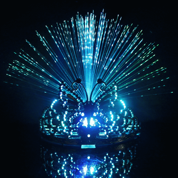 led发光蝴蝶结头箍光纤皇冠发箍头饰地摊热卖发光玩具助威道具