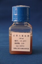 大鼠血清-10ML