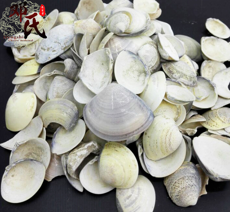海蛤壳无硫个子无硫统货散装批发产地直供邓氏中药材批发