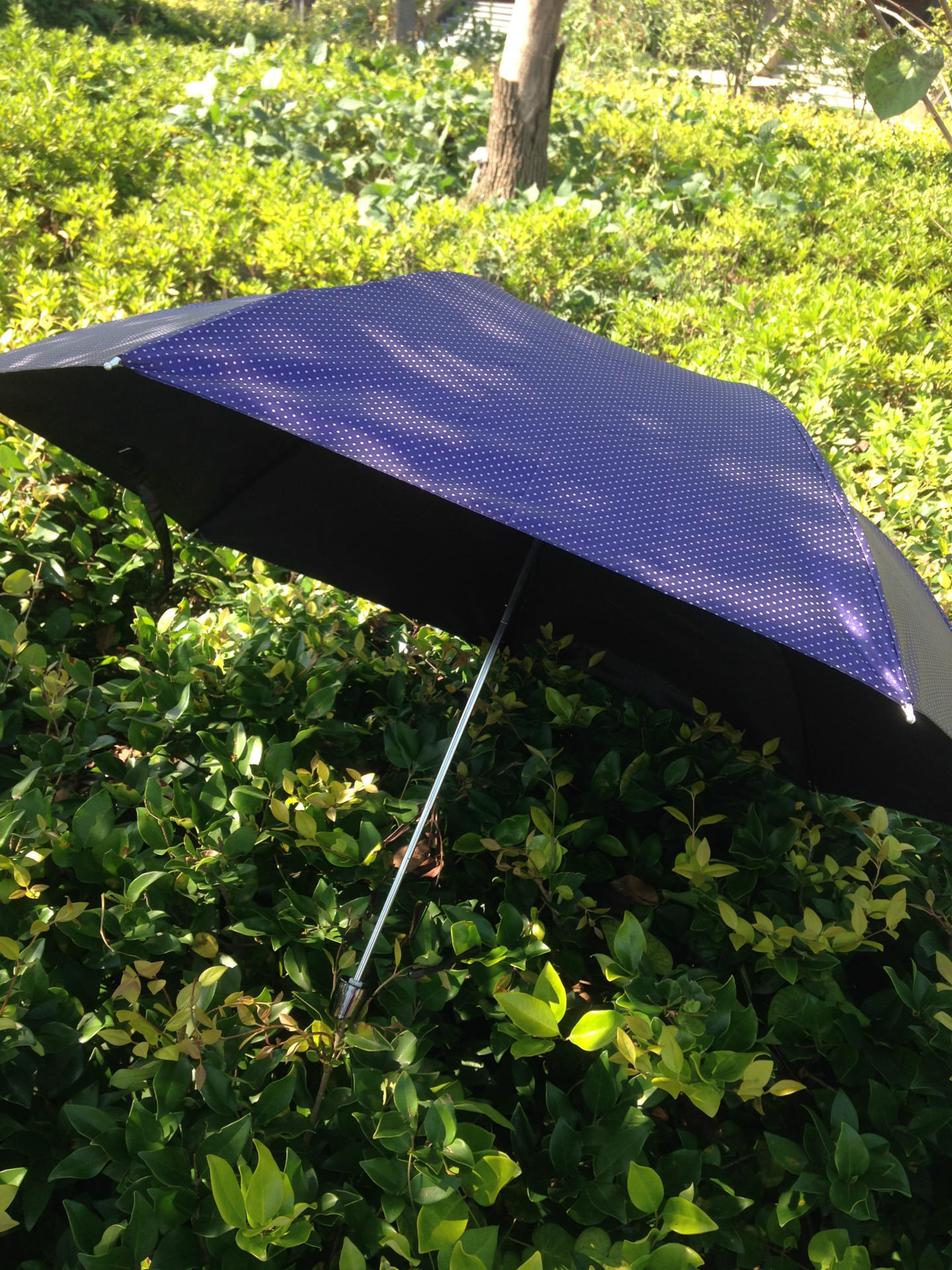 创意小点子黑胶铅笔伞 防紫外线超轻遮阳伞 礼品伞