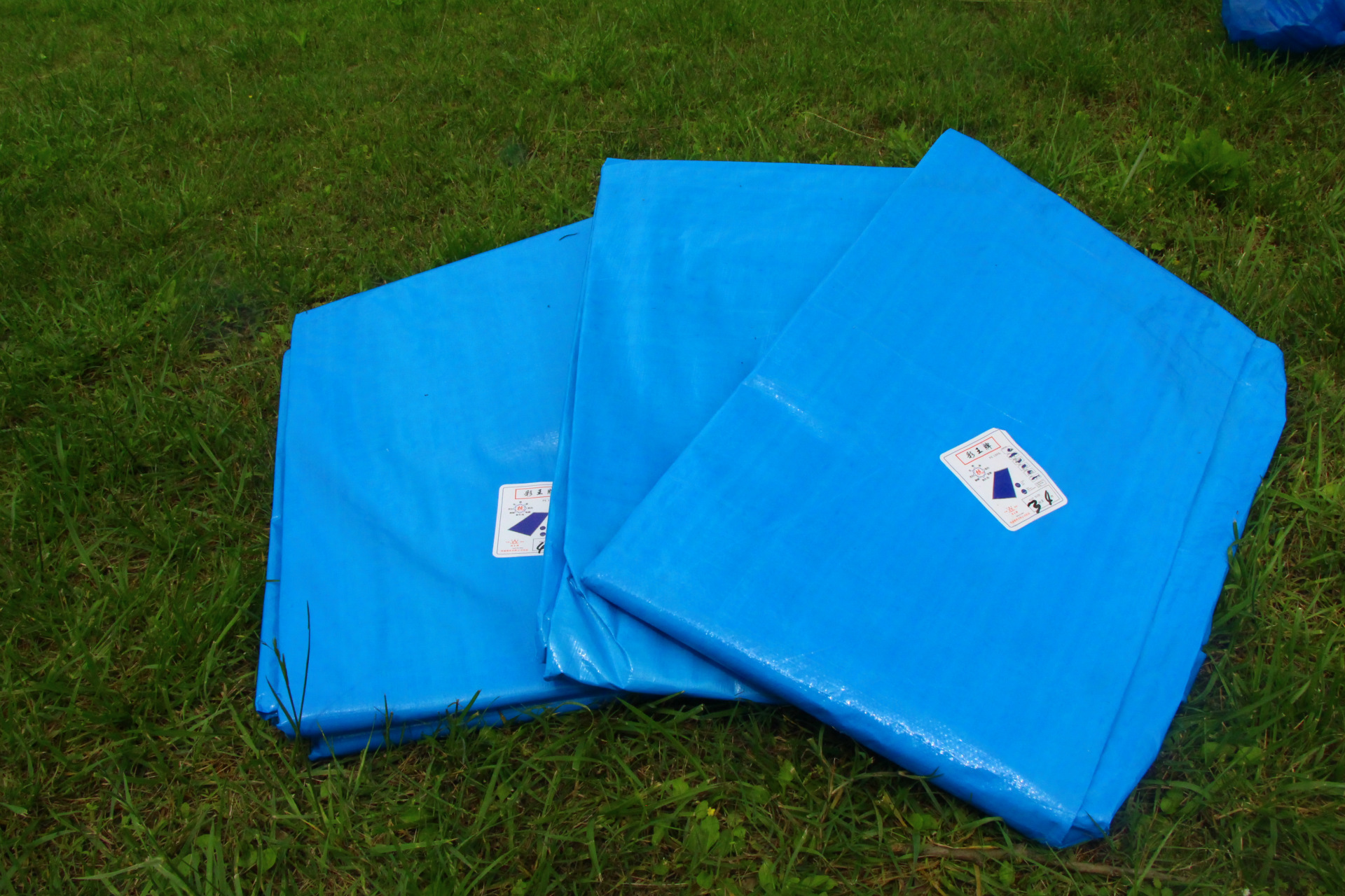 pe蓝白布 防雨布 抗老化 防晒 成型布 扣子布直销