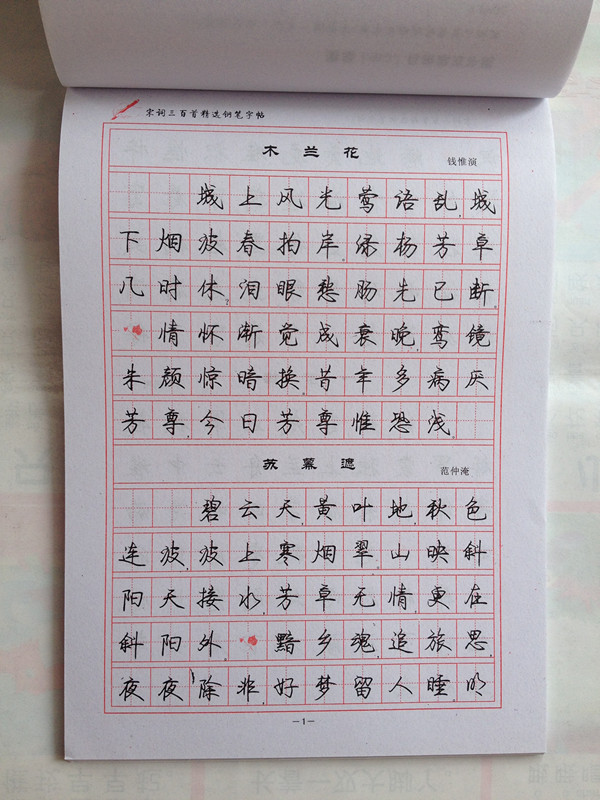 中国名家书法 学生成人练字钢笔字帖罗扬新时尚行书字帖批发