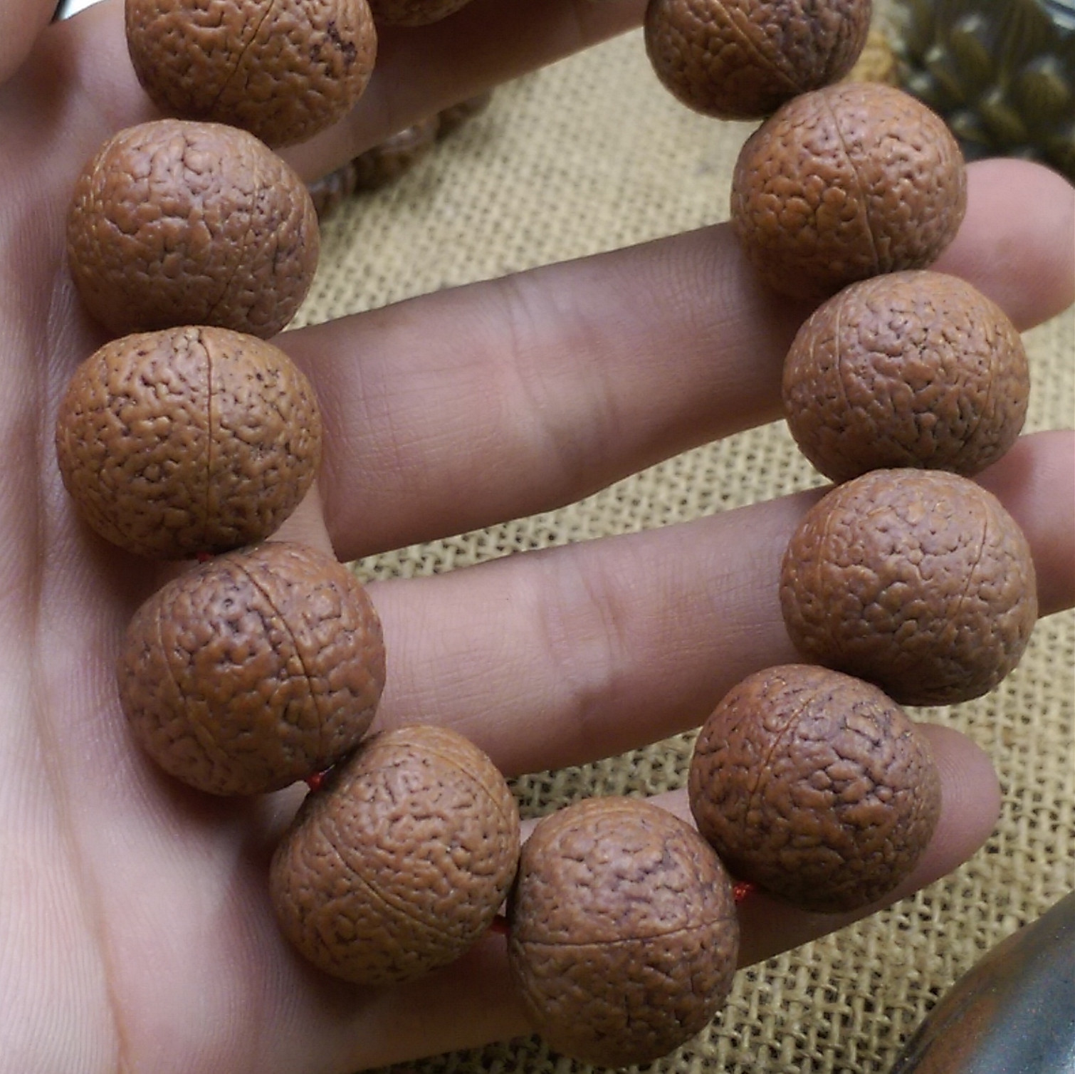 五瓣印尼大金刚菩提子 铁子红皮 爆肉 脑纹矮桩 无忧子龙鳞.