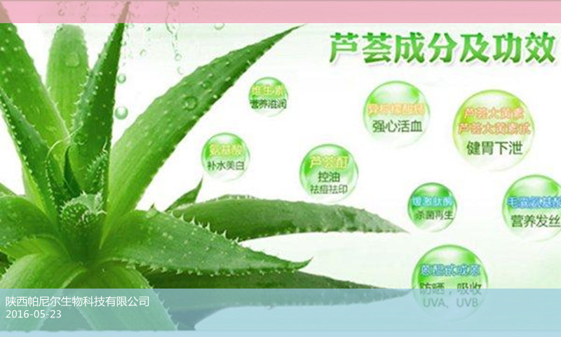 芦荟大黄素 99% 纯天然库拉索芦荟提取物 厂家直供 量大从优