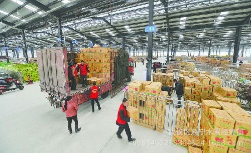 柑桔-四川蒲江丑橘5斤装一级优丑八怪 新鲜采