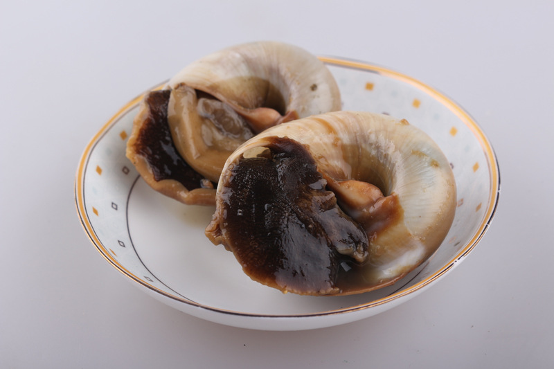 美味香螺 5kg整箱批发 青岛特产海滨渔港厂家直销