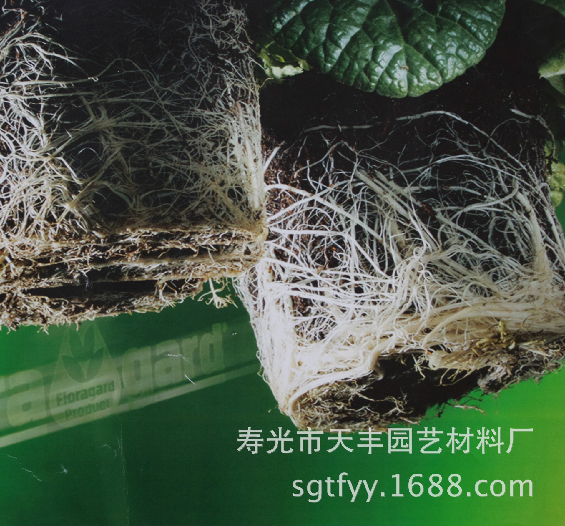 德国进口floragard seed2育苗基质 福洛伽2号多肉叶插泥炭藓土