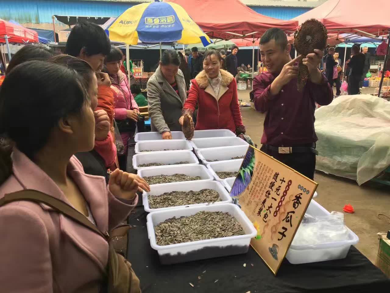 地摊展销会热卖炒货散装葵瓜子奶油五香瓜子批发 - 中国食品饮料批发