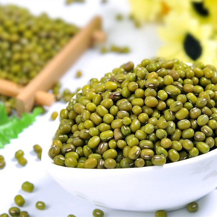 谷淦食品低温烘焙五谷现磨绿豆豆浆原材料绿豆批发 五谷杂粮散装
