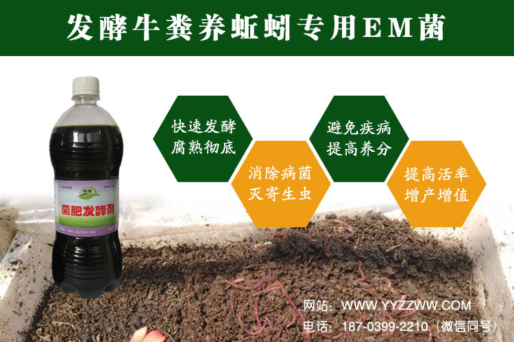 启富菌肥发酵剂发酵牛粪的方法