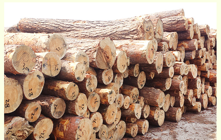 俄罗斯松 樟子松防腐木 优质烘干家具材 专业建筑木方 定尺寸加工