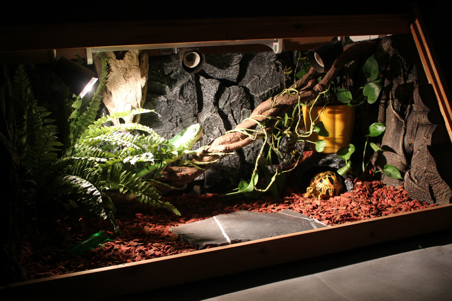 宝龙爬虫箱三维立体pu背景板水族鱼缸龟饲养缸树根背景板装饰造景