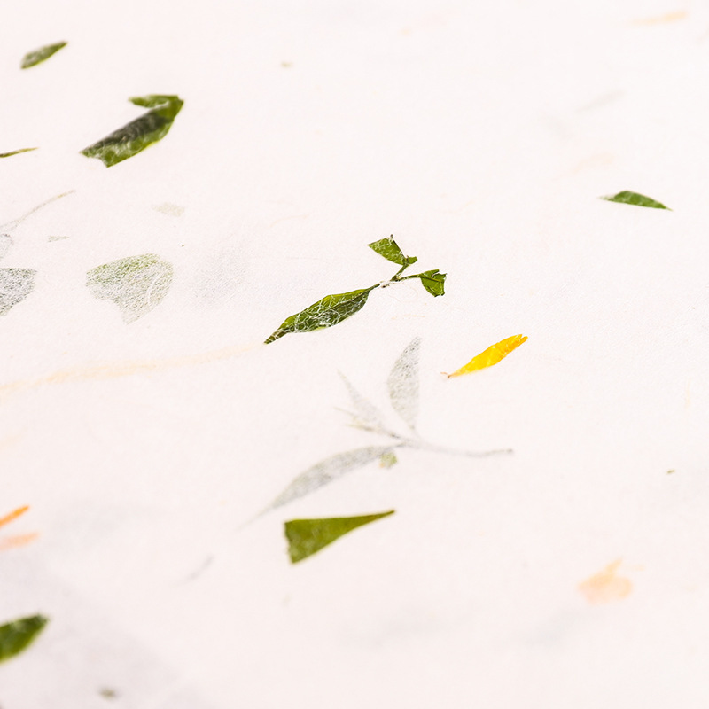 自然植物花草信纸 茶叶清香宣纸 创意书法用纸 手工宣纸 20张套装