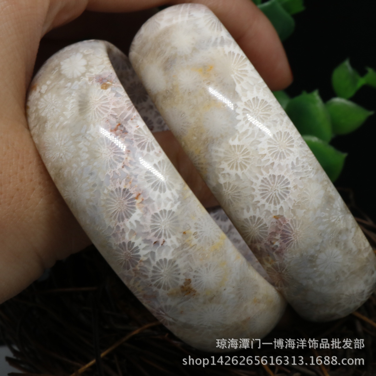 批发天然菊花石手镯高档珊瑚玉手镯多彩珊瑚虫化石内径5262mm