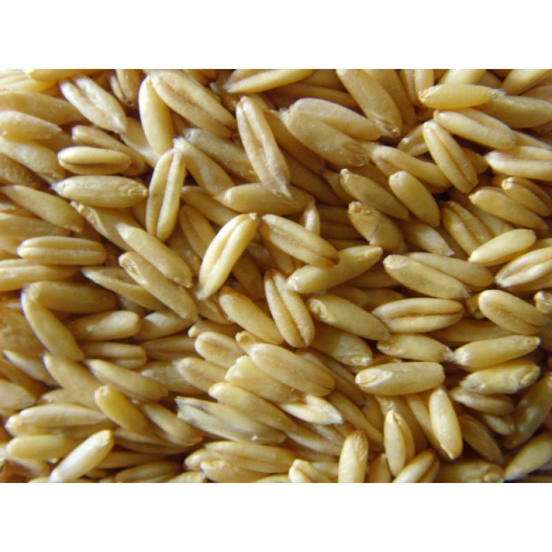 燕麦提取物燕麦葡聚糖80膳食纤维