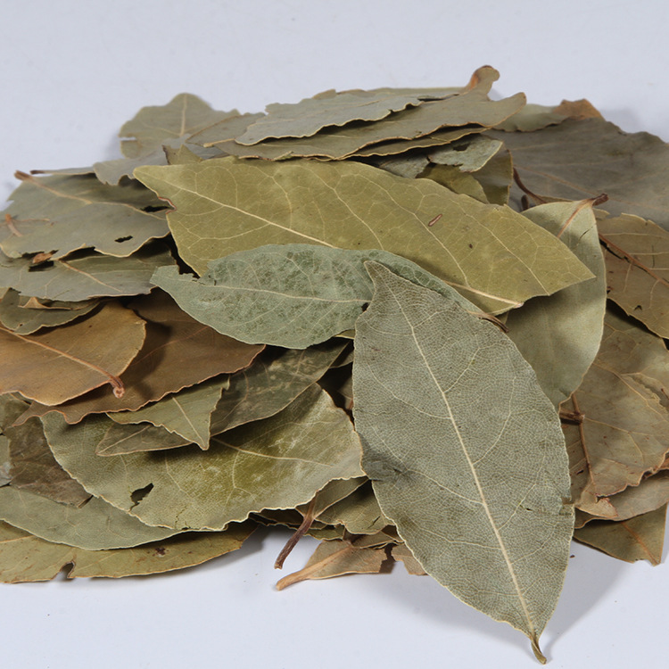 香叶优质月桂叶卤水料川菜炖肉 香叶调料调味香料