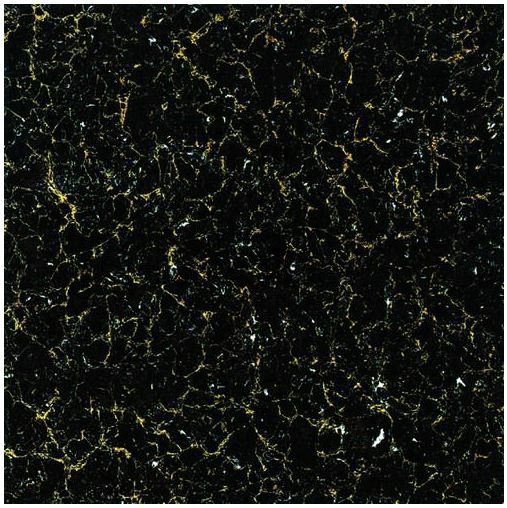 bxg佛山厂家瓷砖 800*800抛光砖 不透水地面砖 枣红布拉提