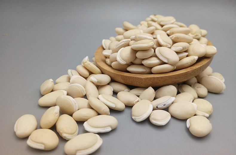 大额批发 中药材 白扁豆 非大白豆 药扁豆 小包装代加工