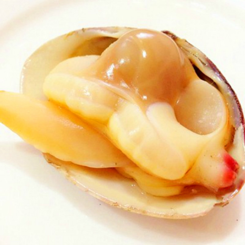 批发黄蚬子肉 海鲜冷冻水产品 食材黄蚬子肉