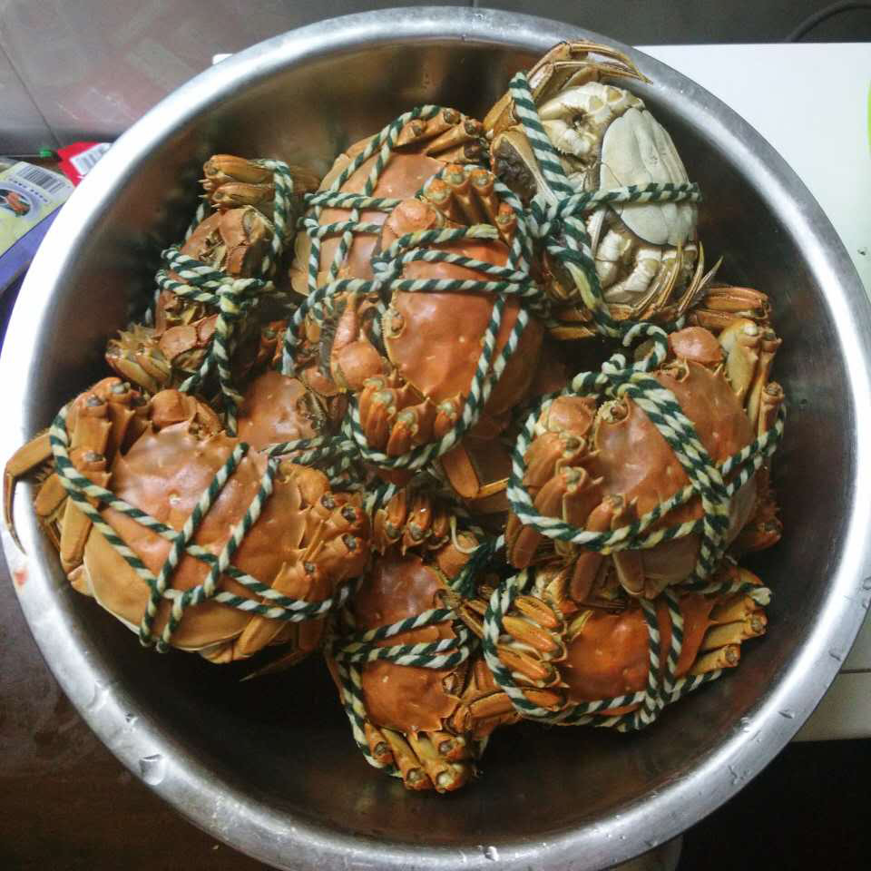 批发现货鲜活公母滆湖清水大闸蟹特产 自养自销 礼盒装 顺丰邮