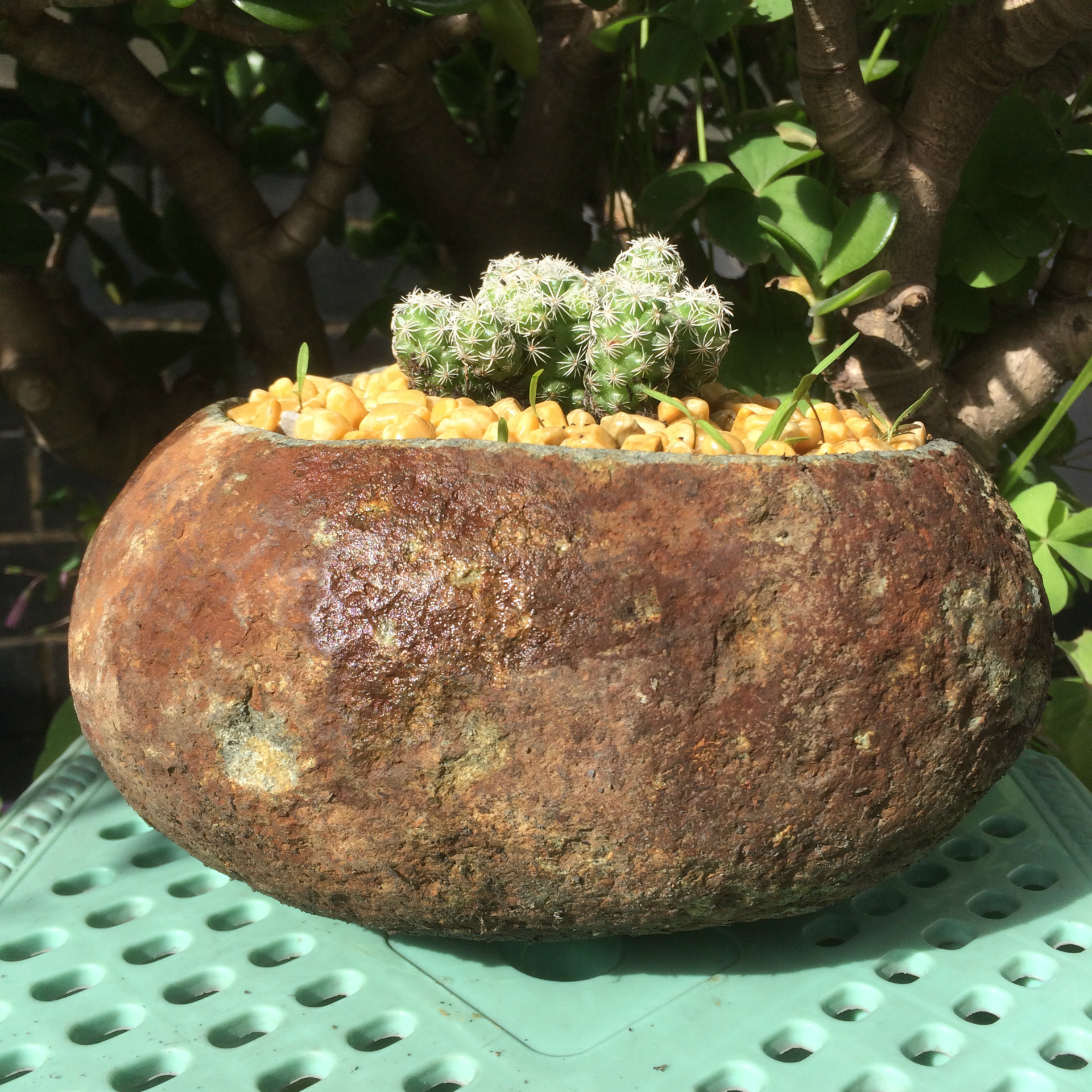 天然鹅卵石锈石花盆多肉小盆栽厂家直销订购