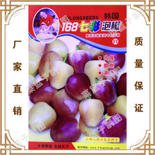 冯子龙种苗公司直售批零基地种植蔬菜种子  韩园168七彩泡椒F1