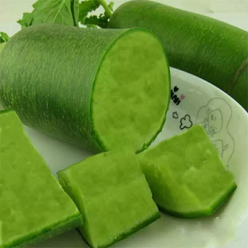 天津武清区大良镇萝卜 青萝卜 新鲜 绿色 无污染厂家直销可批发