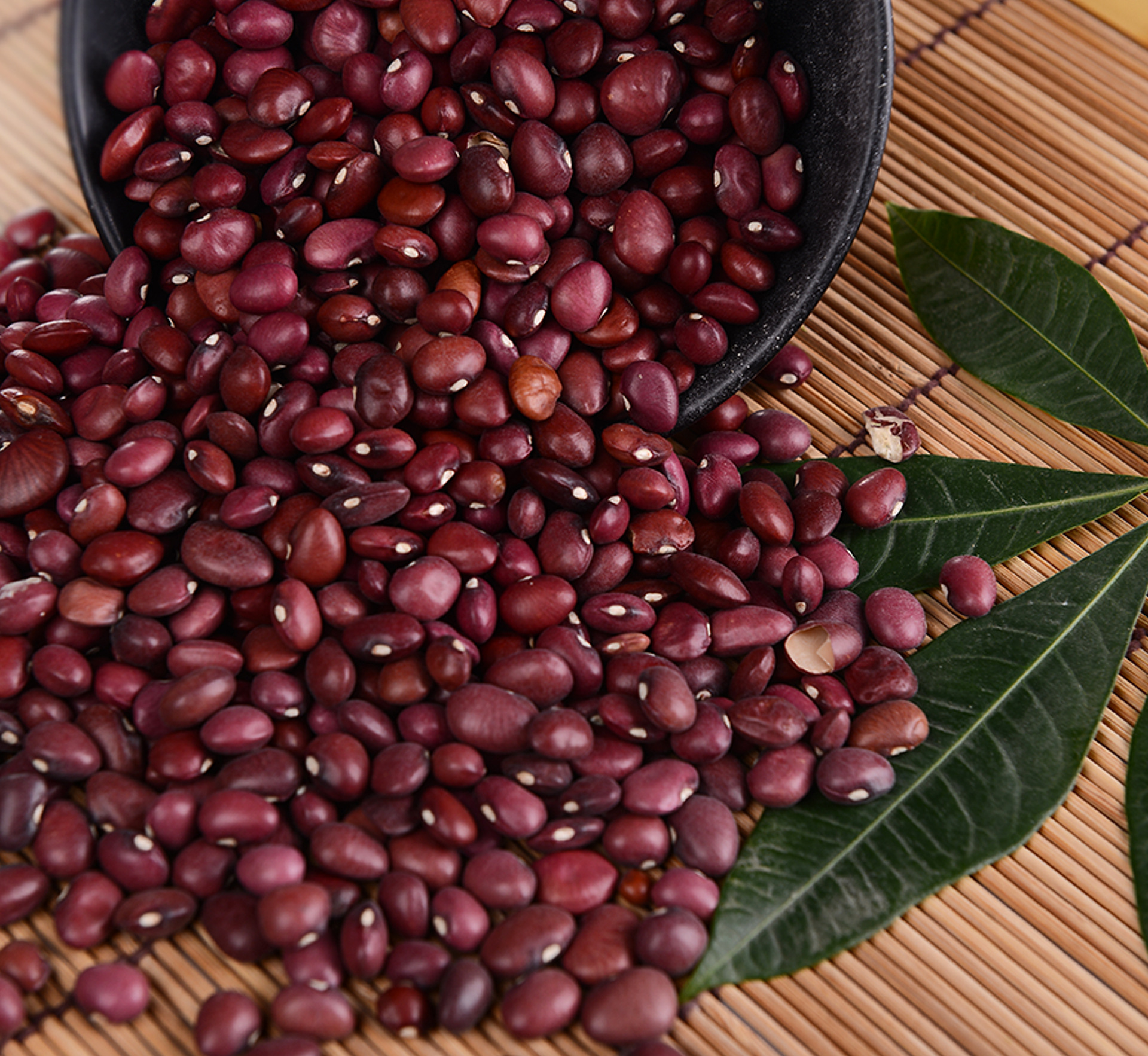 优质芸豆400g精致包装内蒙科尔沁草原特产五谷杂粮全国招商