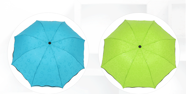 伞 雨伞 790_400 gif 动态图 动图