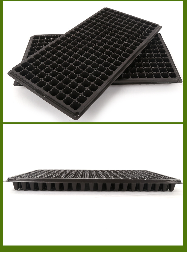 200穴盘塑料园艺多肉花盆加厚育苗盘pvc瓜果蔬菜育苗源头厂家批发