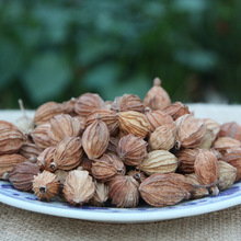 云南砂仁价格_最新云南砂仁价格\/批发报价_云