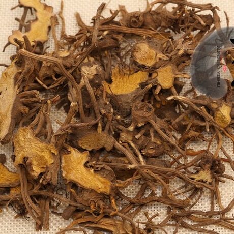 大货批发各种冷背中药材牛尾蕨 牛尾结 大通根 量大从优