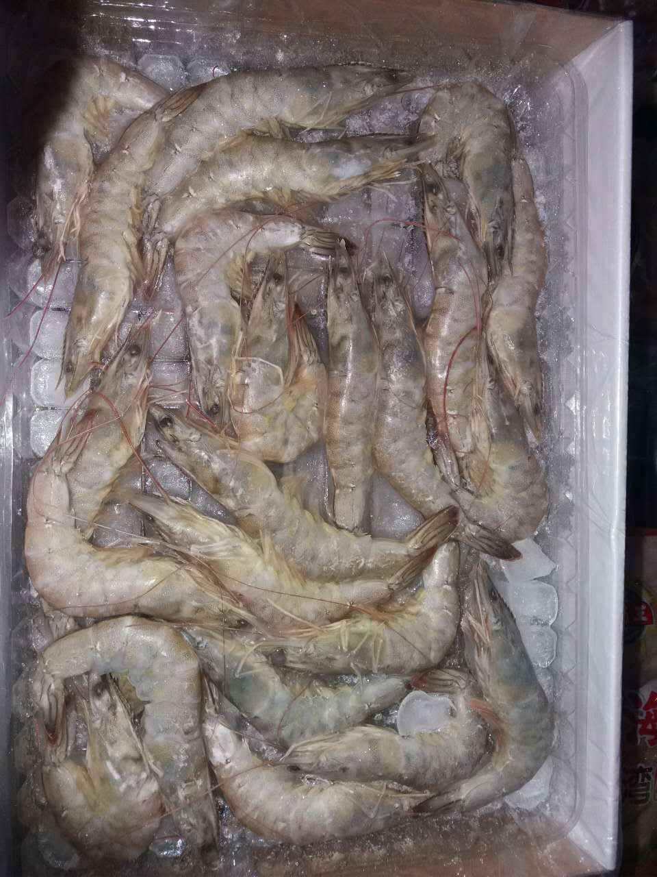 冷冻生虾连头青虾南美青虾自助餐火锅酒店专