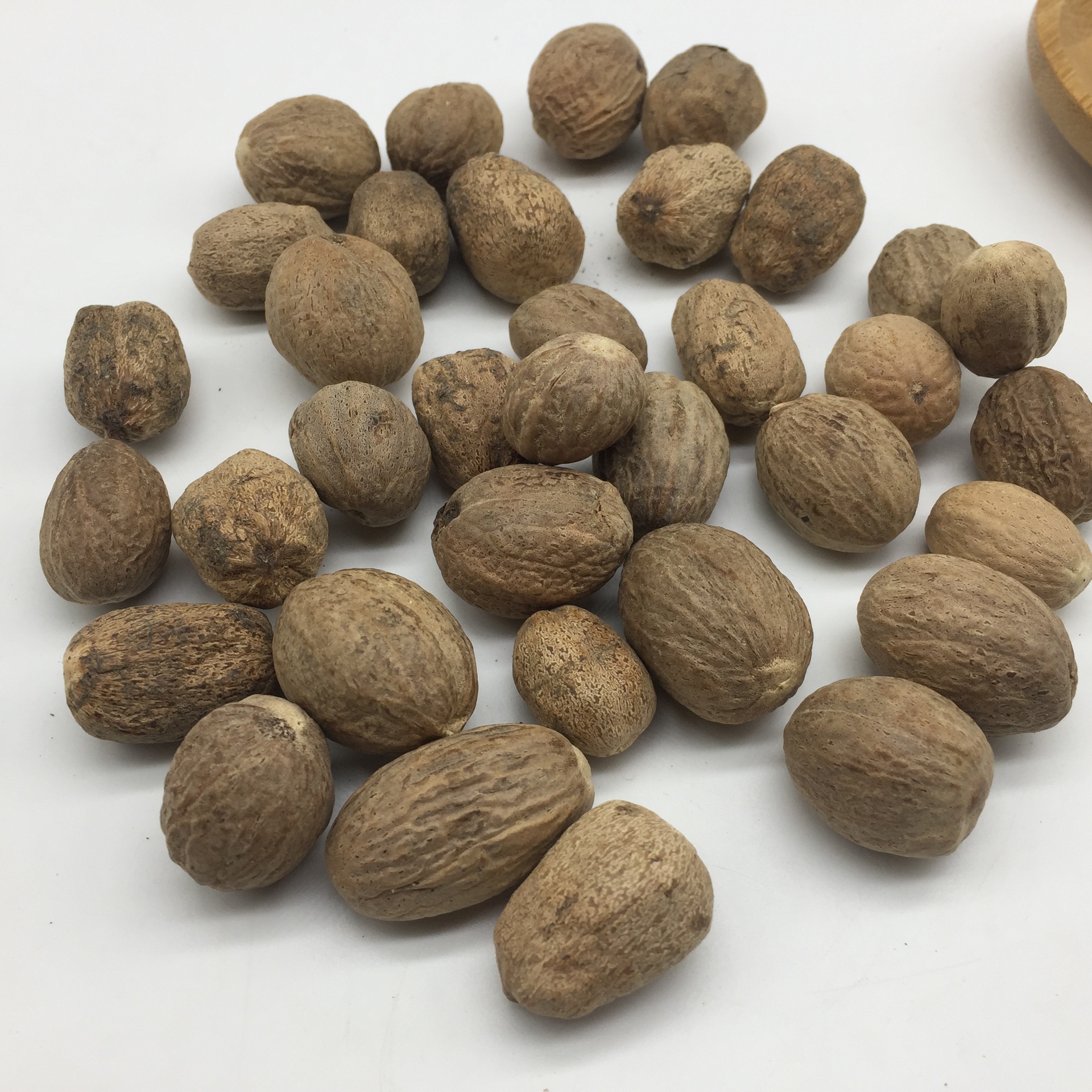 佰万康大量批发调味香料 肉蔻 肉扣 肉豆蔻 玉果 散装 一斤起批