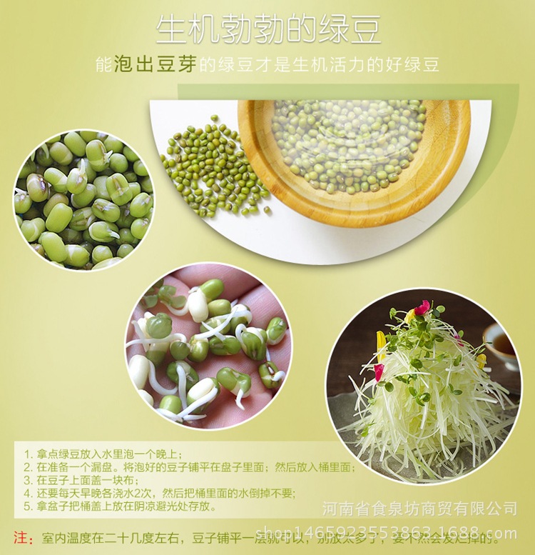 东北小绿豆芽豆250g 小粒绿豆芽豆批发 发豆芽绿豆种子厂.