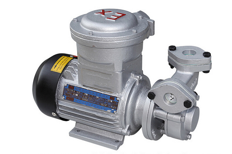 ex防爆电机高温泵 高温加热循环防爆泵 石油 化工防爆专用泵