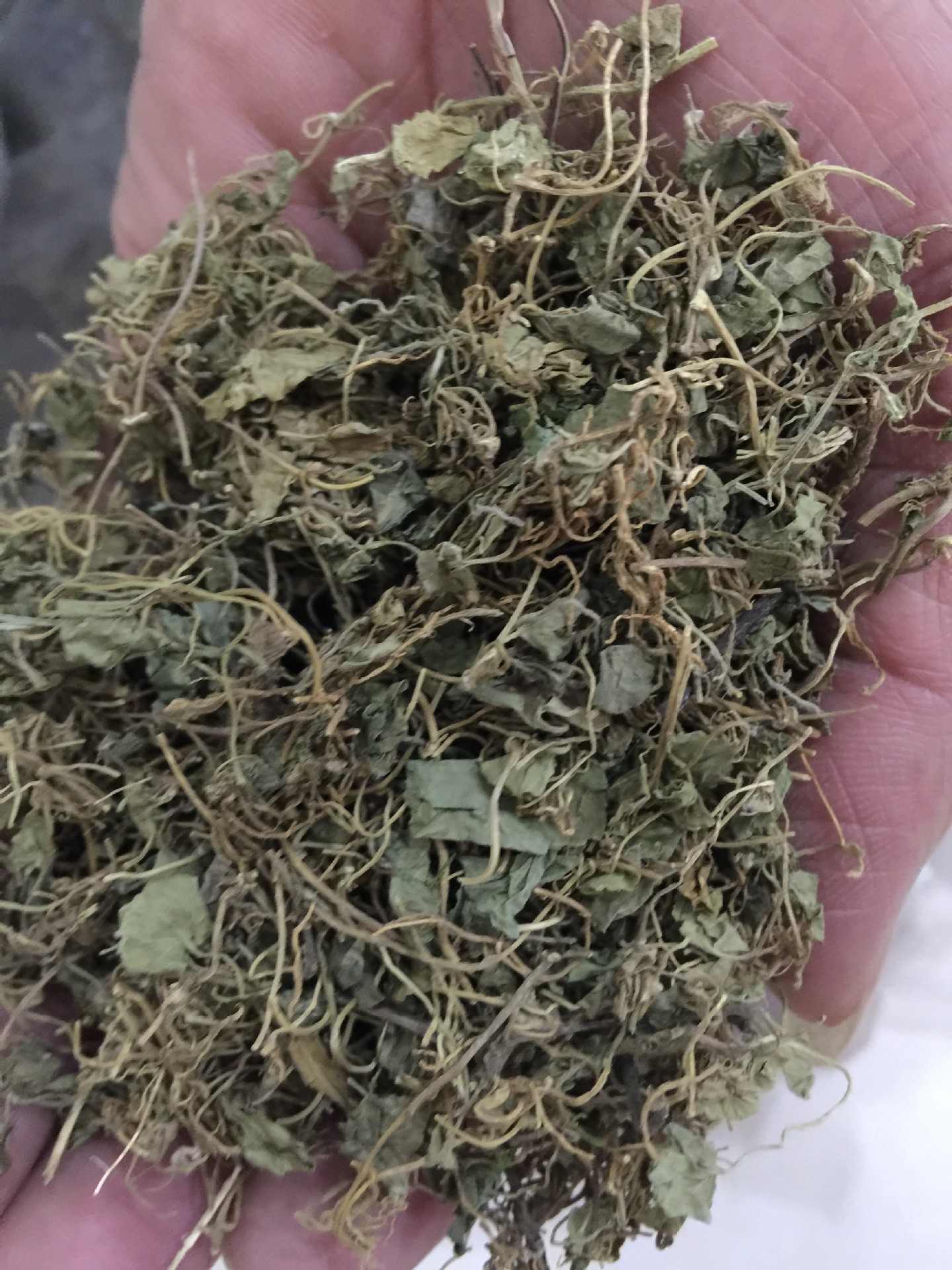 冷背中药材批发优质无硫马蹄金黄疸草正品药用药店供货