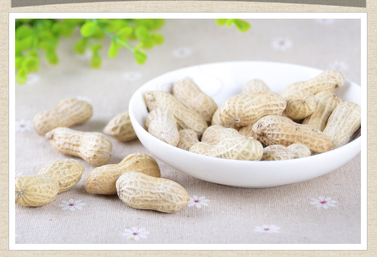 年货零食品珍珠奶香花生 小日本卤味花生 十斤 厂家散装特价批发