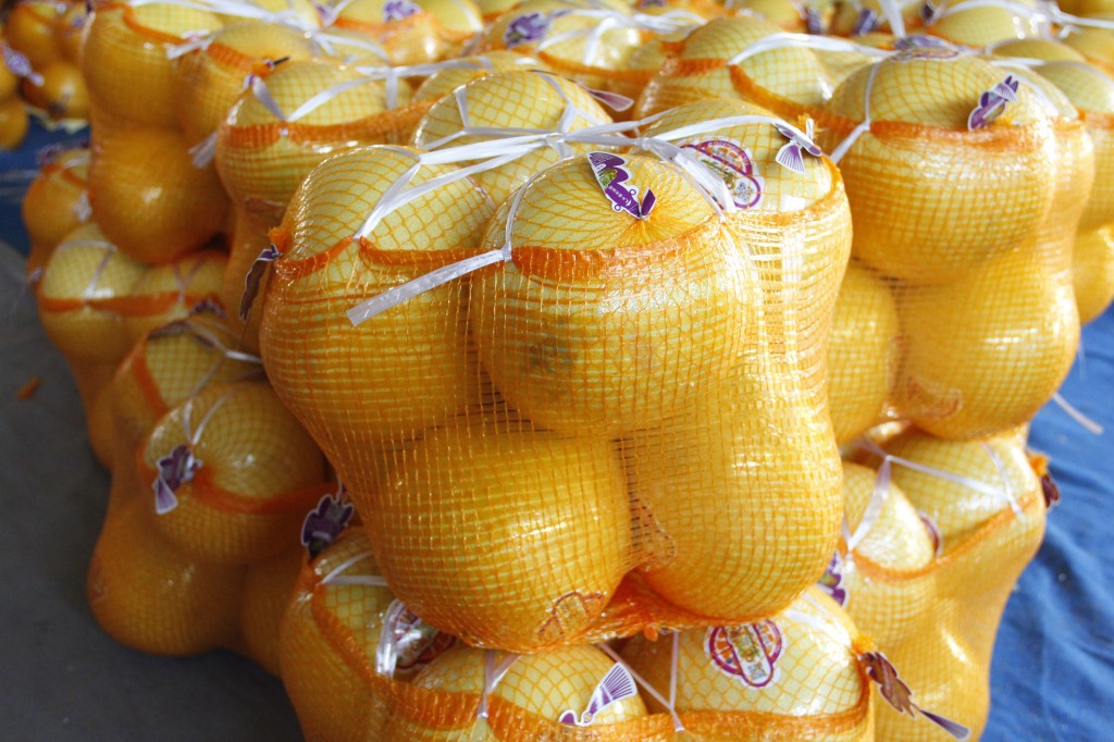 福建漳州平和琯溪白肉蜜柚原产地精品青情果水果柚子批发蜜柚
