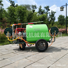 志成农用汽油打药机 300L手推式高压喷雾机 园林绿化喷雾洒水车