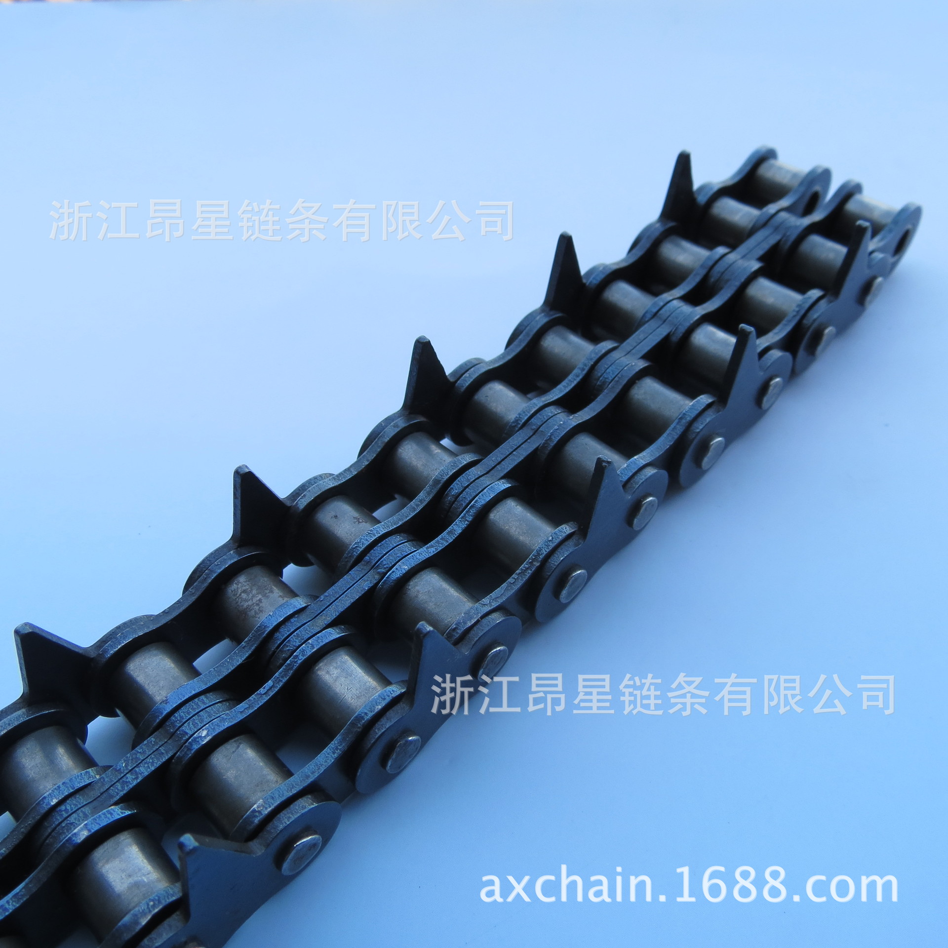 浙江昂星链条股份有限公司