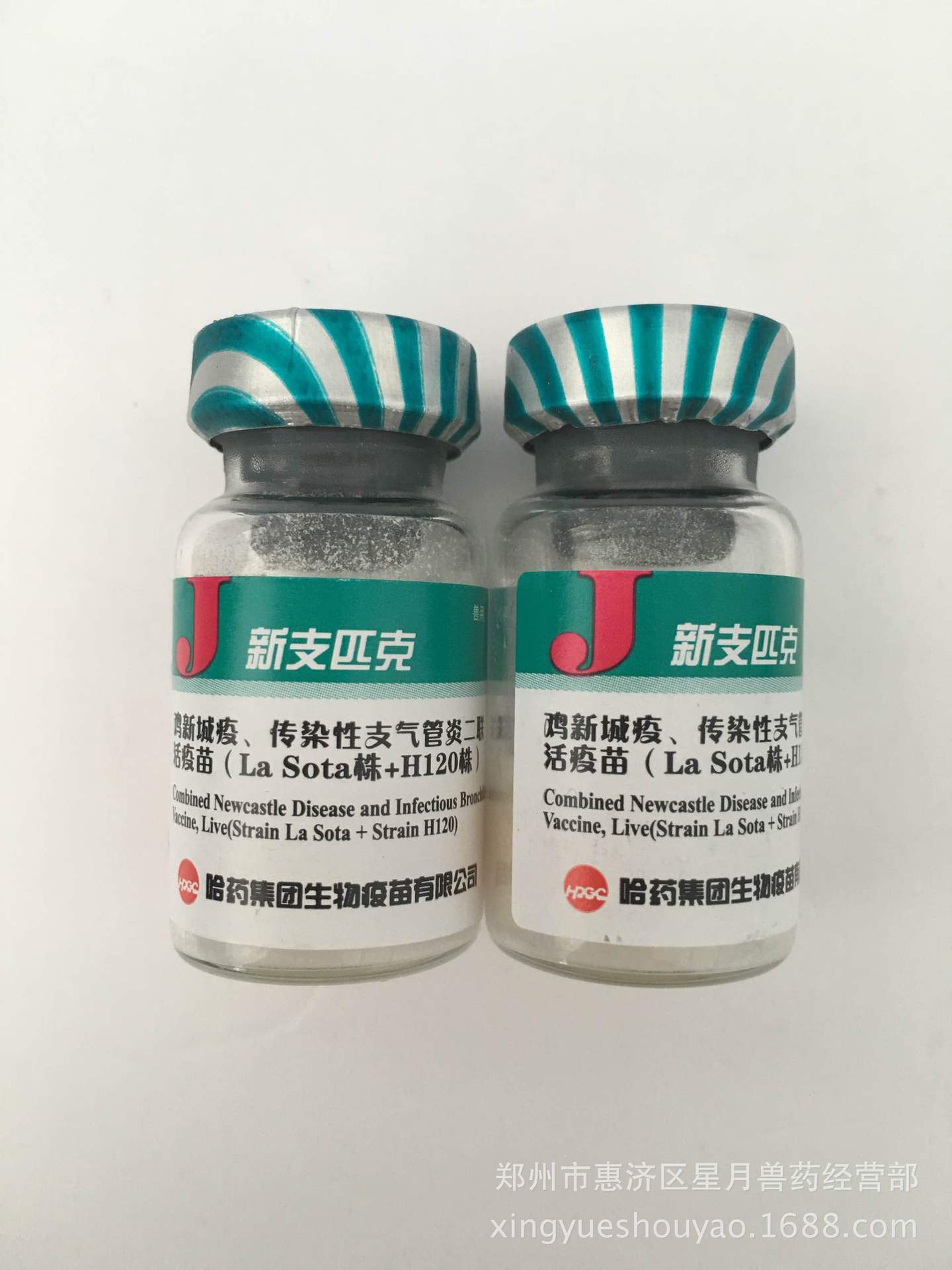 鸡新城疫 传染性支气管炎h120二联活疫苗 小鸡疫苗 鸡瘟支气管炎